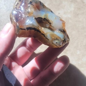 Payton added a photo of their purchase