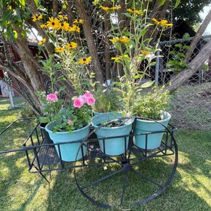 Ann added a photo of their purchase