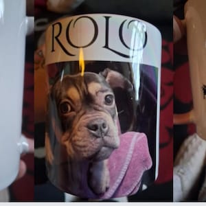Julie added a photo of their purchase