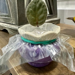 Melissa added a photo of their purchase