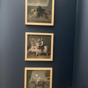 Kari added a photo of their purchase