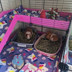 Amberley added a photo of their purchase