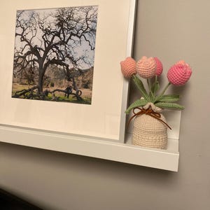 Katie added a photo of their purchase