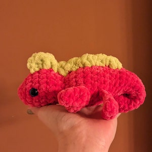 Rachel added a photo of their purchase