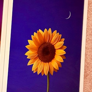 Sun added a photo of their purchase