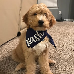 Brooke ha añadido una foto de su compra