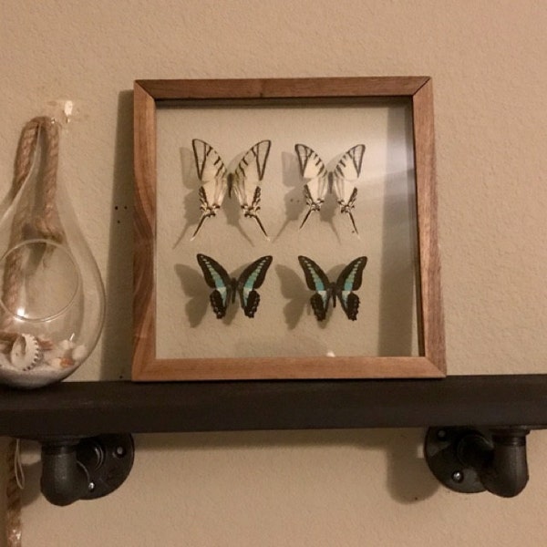 Scratch off United States Map - Iap 600x600.1418832391 6ursyd1w 