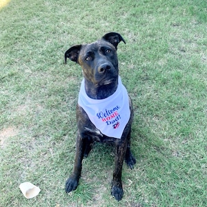 Sawyer added a photo of their purchase