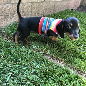 Edith ha añadido una foto de su compra