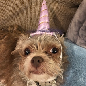 Shelby added a photo of their purchase