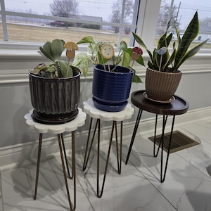 Emily added a photo of their purchase