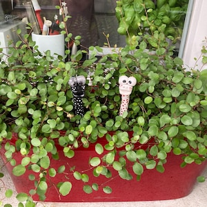 Franzi added a photo of their purchase
