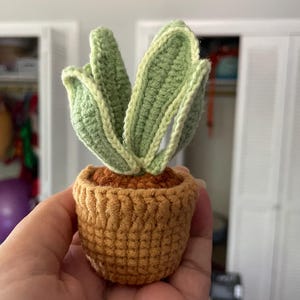 Katie さんが購入した商品の写真を追加しました