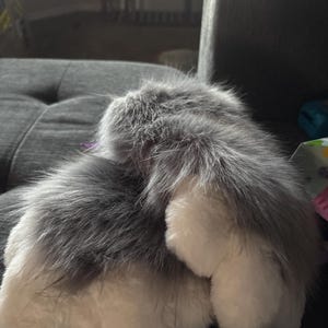 Malena added a photo of their purchase