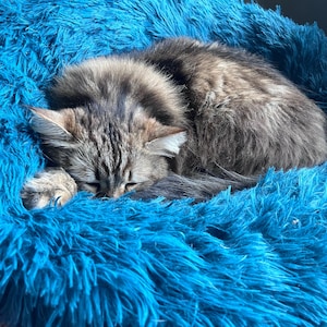 Etsy-koper heeft een foto van de aankoop toegevoegd