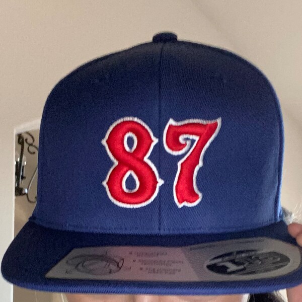 Free Personalization 3D Number Puffed Numbers Embroidered Hat, Fire ...