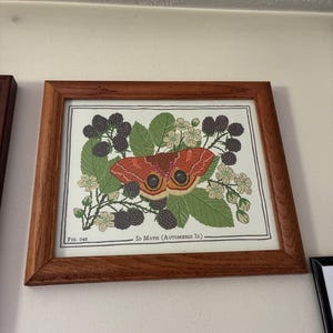 Andreita added a photo of their purchase