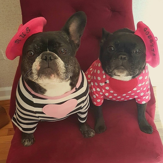 Customer photo of a pet with the Beret Personalized for small pet Raspberry