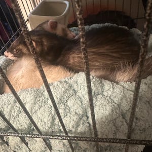 Parish added a photo of their purchase