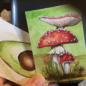 Jeanette added a photo of their purchase