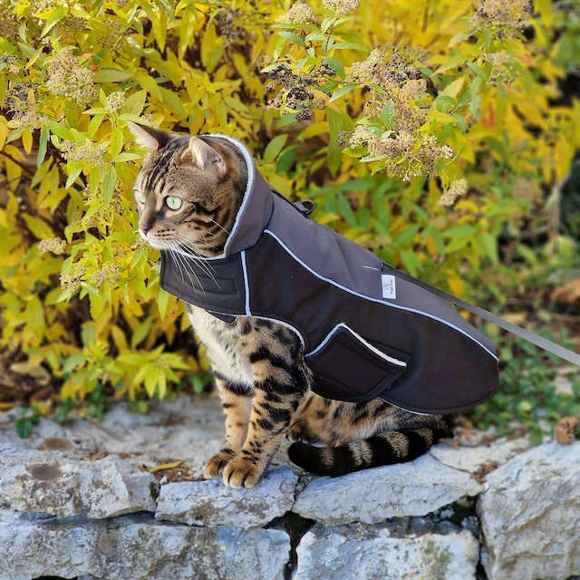 Hundemantel Cat Arbeitsjacke CARHARTT Chore Coat In Braun Fr Unsere  Vierbeiner Gnstig!
