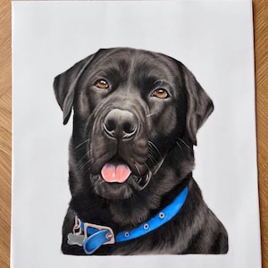 James added a photo of their purchase