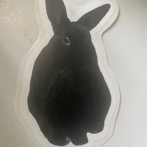 duchess added a photo of their purchase