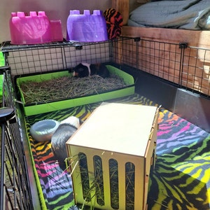 Abriella added a photo of their purchase