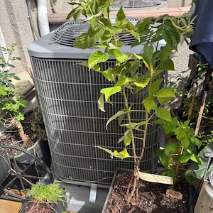Jackie added a photo of their purchase