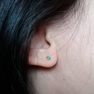 Márta added a photo of their purchase