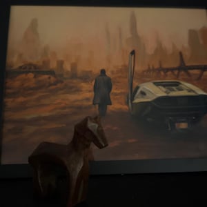 Anna added a photo of their purchase