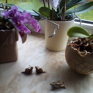 Anette added a photo of their purchase