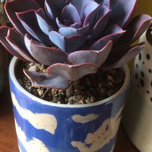 Stefanie added a photo of their purchase