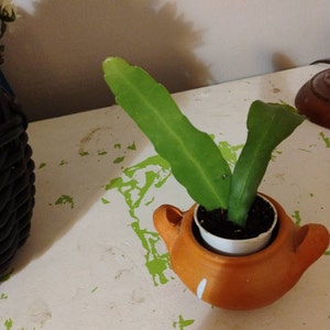 Stephanie added a photo of their purchase