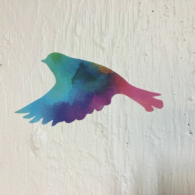 Bird Decals Set of 8 in Watercolor Rainbow Pattern 1347-17 - Etsy