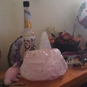 Grace added a photo of their purchase
