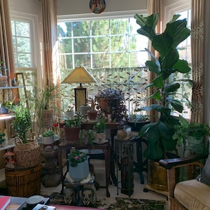 Elizabeth added a photo of their purchase