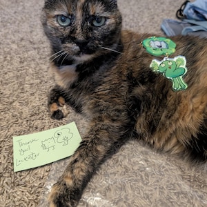 Maze added a photo of their purchase