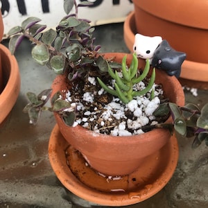 Beth added a photo of their purchase
