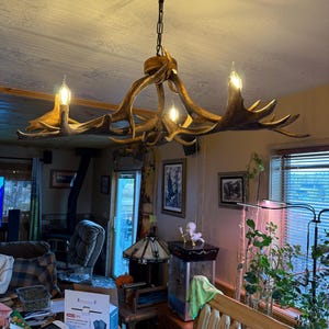 john added a photo of their purchase