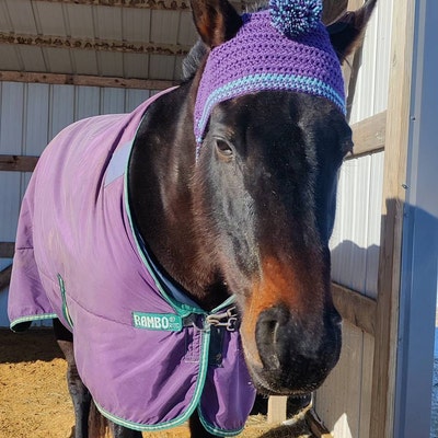 Crochet Horse Hat PATTERN ONLY Etsy