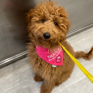 Chloe ha añadido una foto de su compra