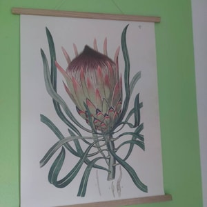 Frank added a photo of their purchase