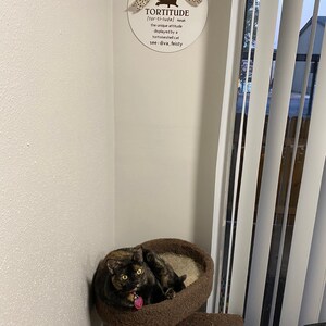 Christine added a photo of their purchase