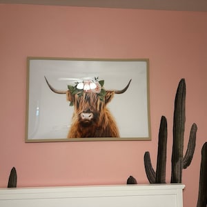 Jackie added a photo of their purchase
