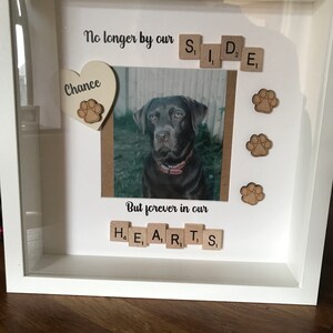 Kayleigh added a photo of their purchase