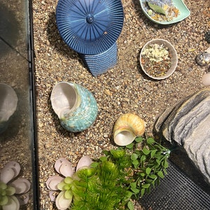 Christina added a photo of their purchase