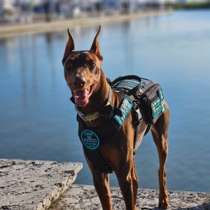 Nikki adicionaram uma foto da sua compra