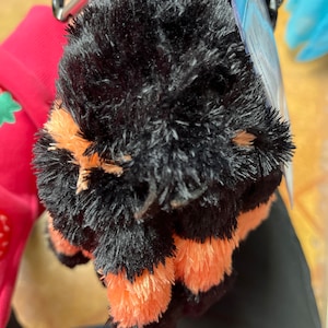 Jacob added a photo of their purchase