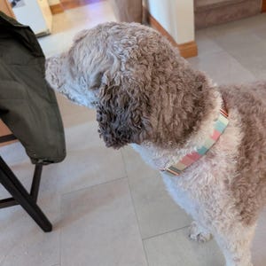 Mary added a photo of their purchase